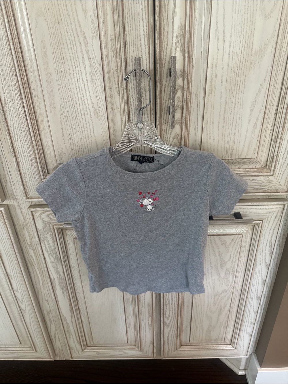 Vinyl Icons Snoopy t-shirt